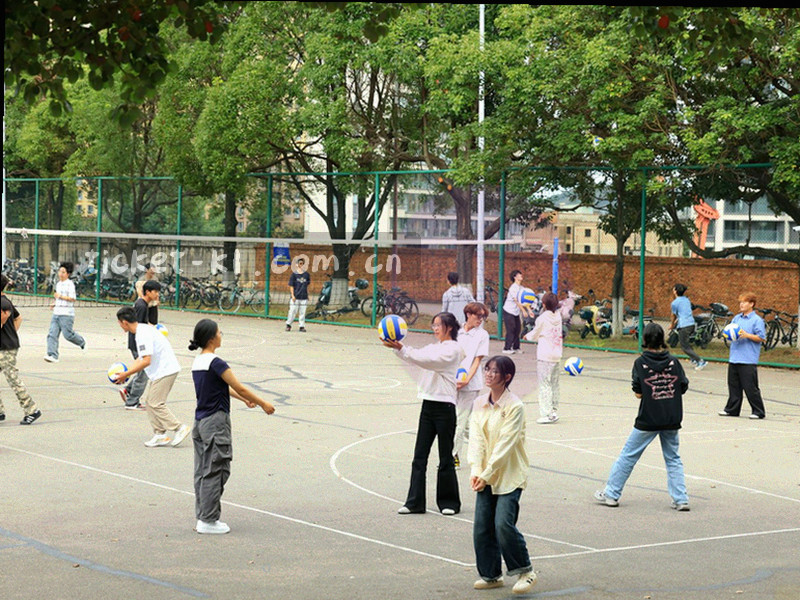抽象数据流和图表动画，以蓝色和橙色为主色
